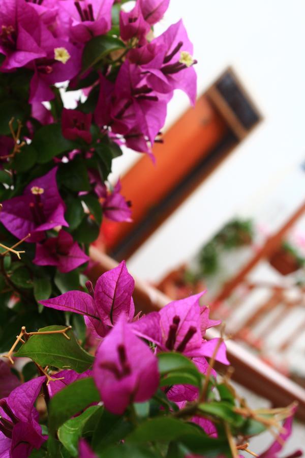Amaru Hotel Huaraz Екстериор снимка
